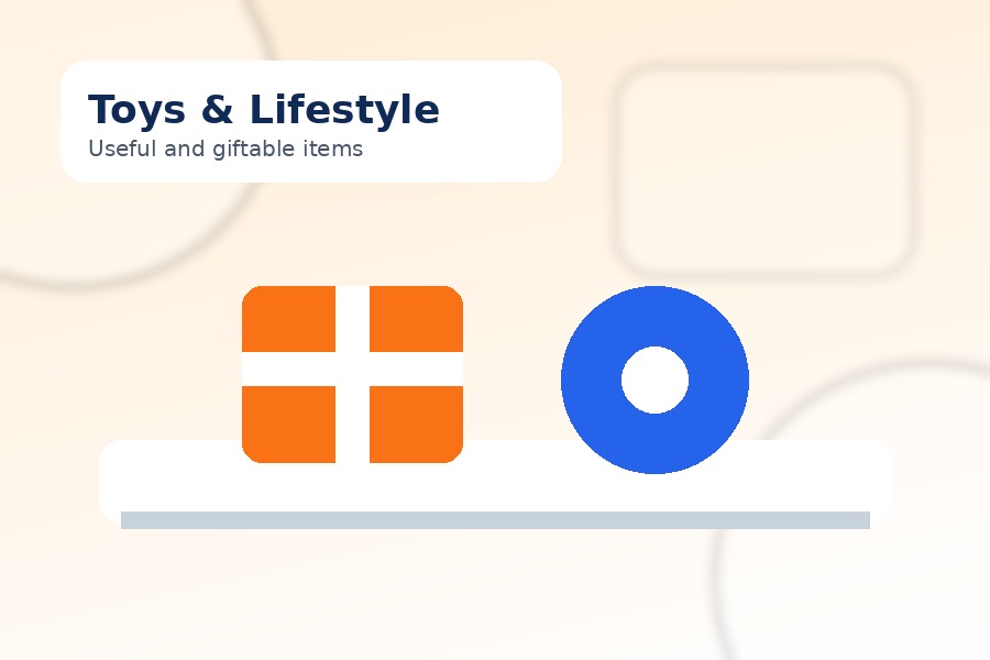 Toys and lifestyle product category